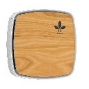 Inbiot Inbiot - Mica Wall Modbus RTU template