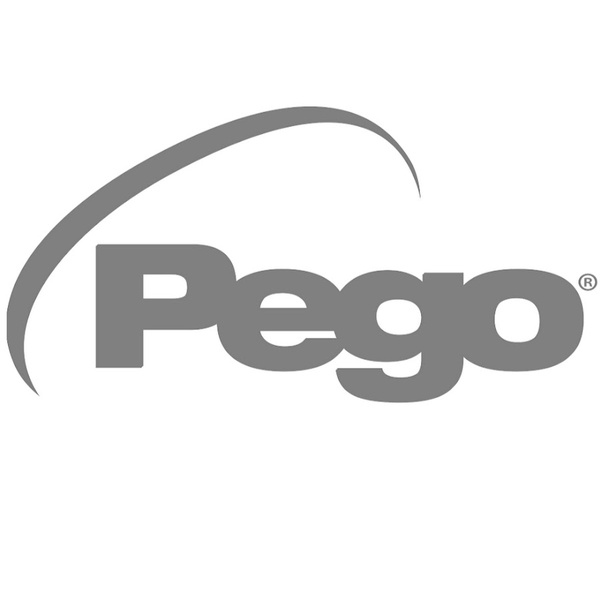 Pego Pego ECP 202 Modbus RTU template
